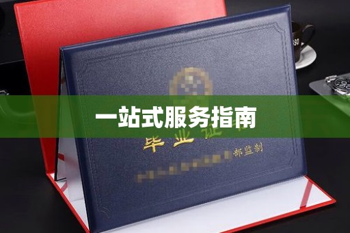 安康一站式服务指南