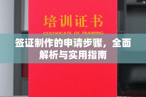 安康签证制作的申请步骤，全面解析与实用指南