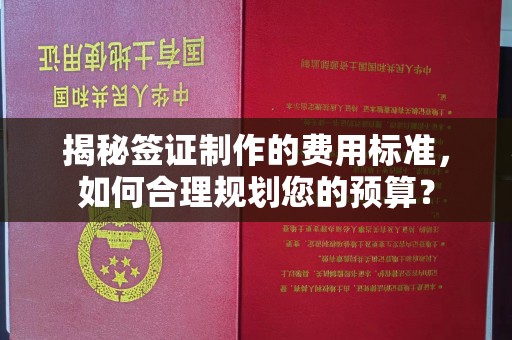 安康揭秘签证制作的费用标准，如何合理规划您的预算？