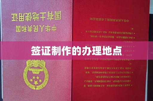 安康签证制作的办理地点