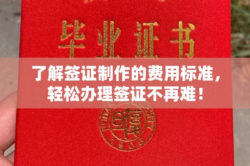 安康了解签证制作的费用标准，轻松办理签证不再难！