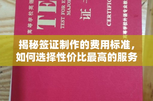 安康揭秘签证制作的费用标准，如何选择性价比最高的服务？