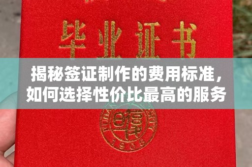 安康揭秘签证制作的费用标准，如何选择性价比最高的服务？