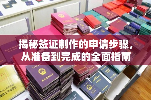 安康揭秘签证制作的申请步骤，从准备到完成的全面指南
