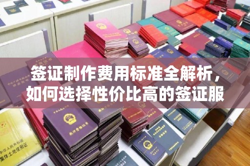 安康签证制作费用标准全解析，如何选择性价比高的签证服务？